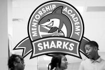 Mentorship