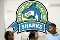 Mentorship